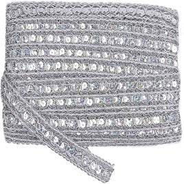 20 Yards Trish Sequin Metallic Braid Trim 7/8 Inch - Silver