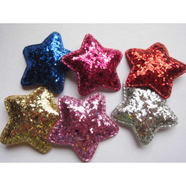 24 Glitter Star 2" -6 Colors