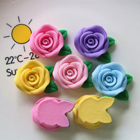 20 Resin Flower Flatback -Mix